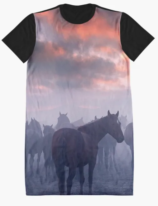 Cowgirl Kim Foggy Morning Tee Dress - Large Only