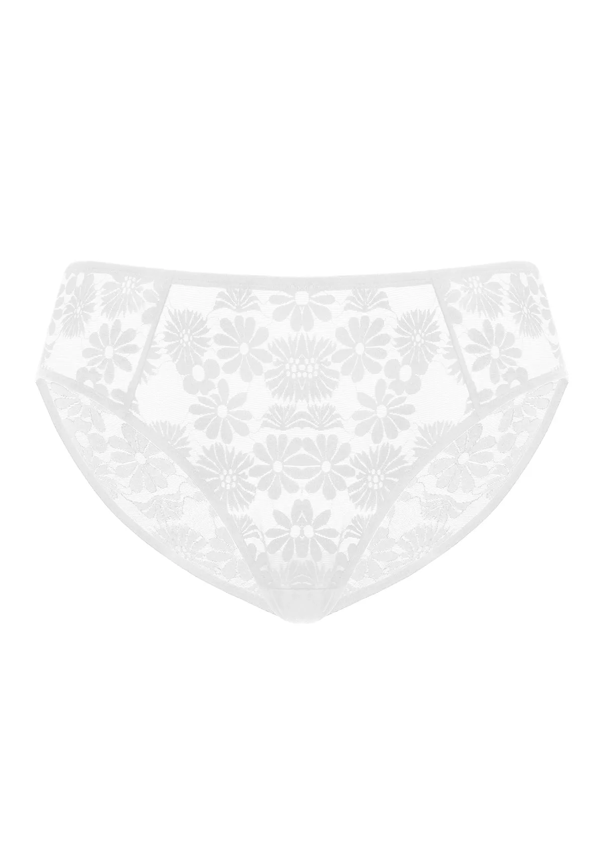 Daisy High-Rise Soft Comfort Lace Brief Underwear