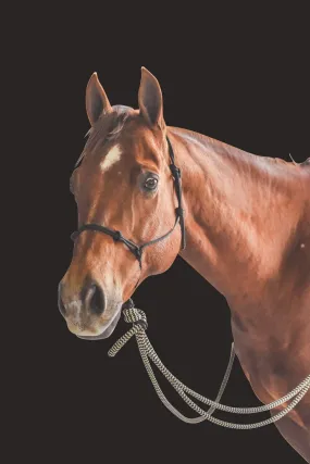 Rope Bitless Bridle with Mecate